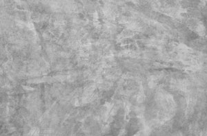 Polished Plaster Devonport Polished Plaster Devonport